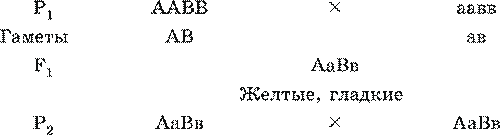 Генетика, ее задачи. Наследственность и изменчивость – свойства организмов. Основные генетические понятия - student2.ru