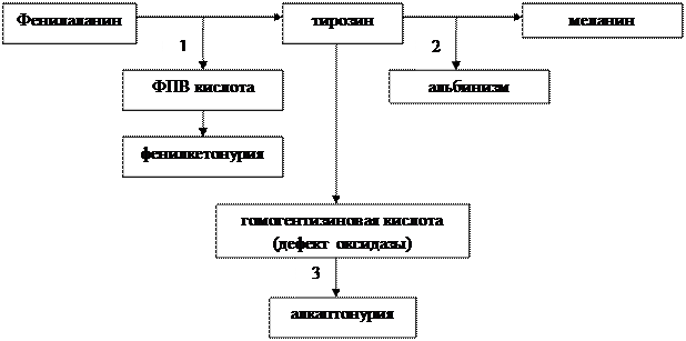 Генные болезни нарушения обмена веществ - student2.ru