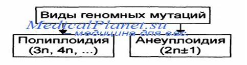 Генные болезни – это большая группа заболеваний, возникающих в результате поврежденияДНКна уровнегена. - student2.ru