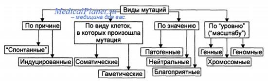 Генные болезни – это большая группа заболеваний, возникающих в результате поврежденияДНКна уровнегена. - student2.ru