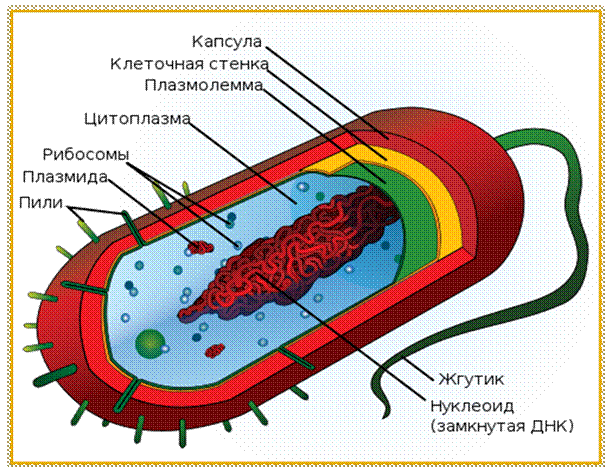 Геологическая картина мира. Тема 9. Земля и её строение, геологическая история - student2.ru