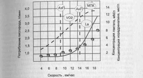 глава 3. физиологическая характёриcтика - student2.ru