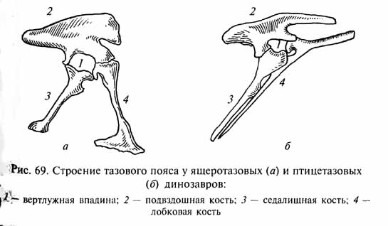 глава 3. мезозойская эра - век рептилий - student2.ru