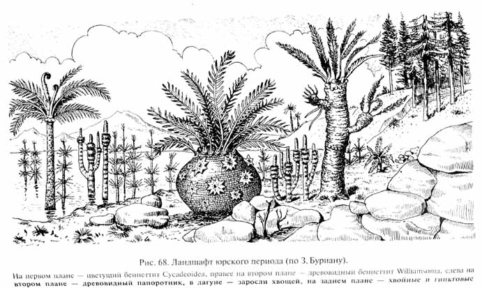 глава 3. мезозойская эра - век рептилий - student2.ru