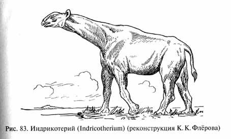 глава 4. кайнозой - век млекопитающих и птиц - student2.ru