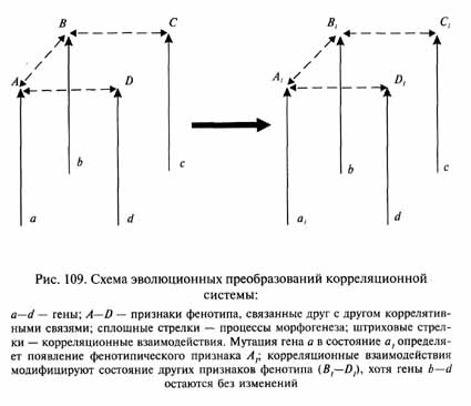 глава 5. темпы макроэволюции - student2.ru