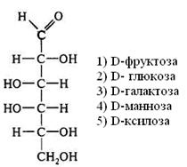 глава 8. химия обмена углеводов - student2.ru