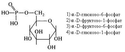 глава 8. химия обмена углеводов - student2.ru