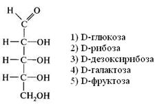 глава 8. химия обмена углеводов - student2.ru
