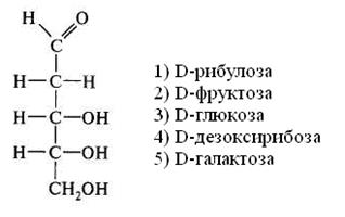 глава 8. химия обмена углеводов - student2.ru