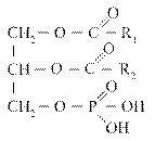Глицерофосфолипиды (ФЛ) - student2.ru