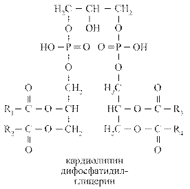 Глицерофосфолипиды (ФЛ) - student2.ru
