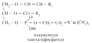 Глицерофосфолипиды (ФЛ) - student2.ru