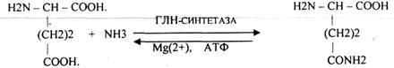 гликолипиды - цереброзиды, ганглиозиды - student2.ru