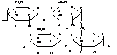 Гомополисахариды: состав и типы связей - student2.ru