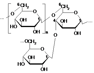 Гомополисахариды: состав и типы связей - student2.ru