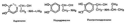 Гормоны поджелудочной железы - student2.ru