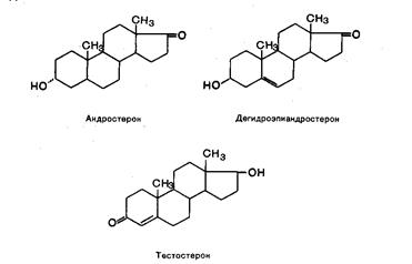 Гормоны поджелудочной железы - student2.ru