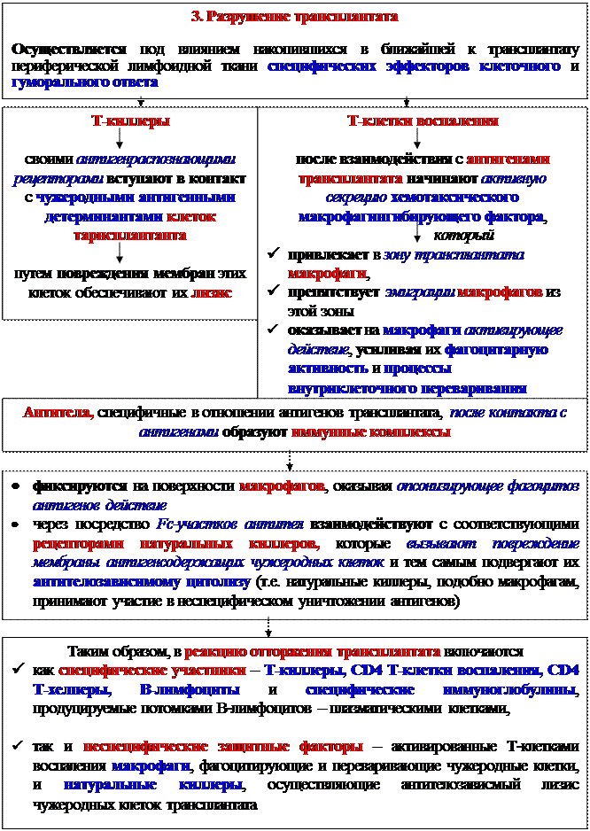 Гуморальные факторы, продуцируемые Т-клетками воспаления - student2.ru