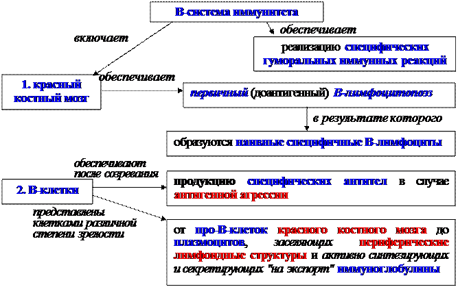 Гуморальные факторы, продуцируемые Т-клетками воспаления - student2.ru