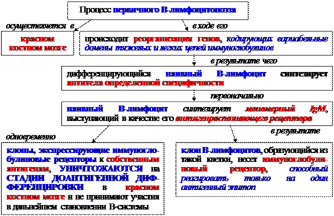 Гуморальные факторы, продуцируемые Т-клетками воспаления - student2.ru