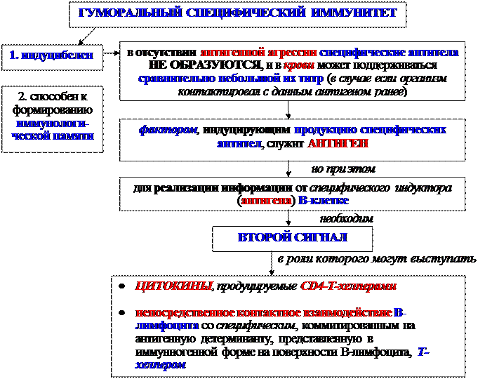 Гуморальные факторы, продуцируемые Т-клетками воспаления - student2.ru