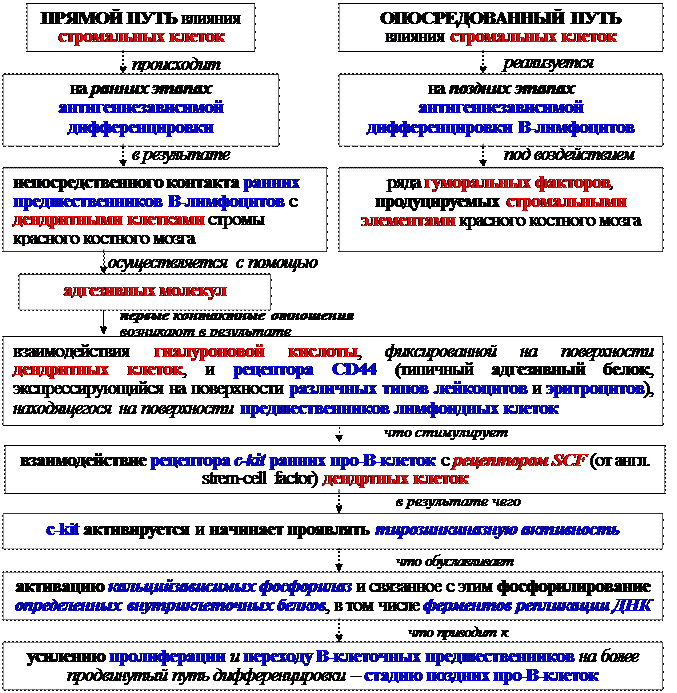 Гуморальные факторы, продуцируемые Т-клетками воспаления - student2.ru