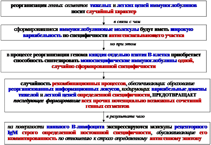 Гуморальные факторы, продуцируемые Т-клетками воспаления - student2.ru