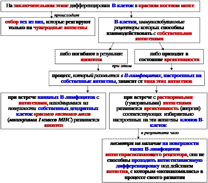 Гуморальные факторы, продуцируемые Т-клетками воспаления - student2.ru