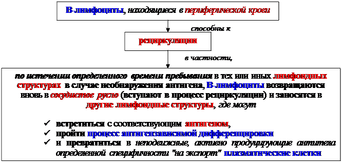 Гуморальные факторы, продуцируемые Т-клетками воспаления - student2.ru