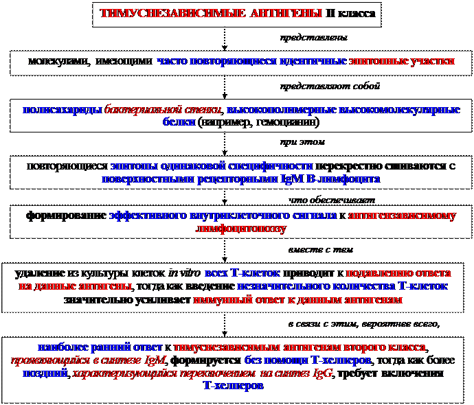 Гуморальные факторы, продуцируемые Т-клетками воспаления - student2.ru