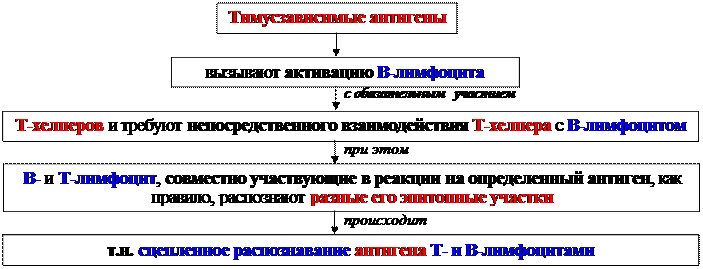 Гуморальные факторы, продуцируемые Т-клетками воспаления - student2.ru