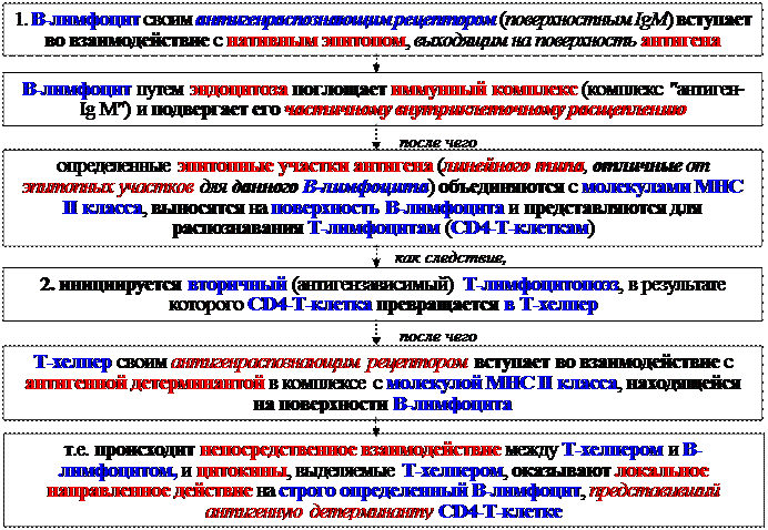 Гуморальные факторы, продуцируемые Т-клетками воспаления - student2.ru