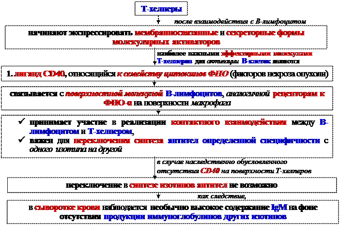 Гуморальные факторы, продуцируемые Т-клетками воспаления - student2.ru