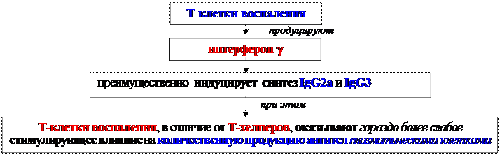 Гуморальные факторы, продуцируемые Т-клетками воспаления - student2.ru