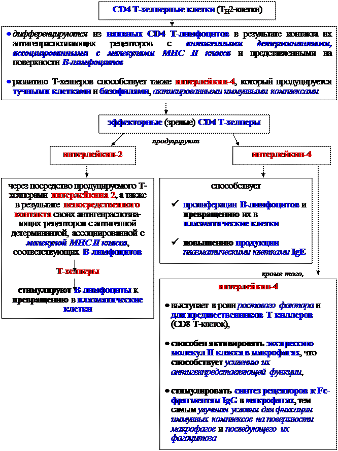 Гуморальные факторы, продуцируемые Т-клетками воспаления - student2.ru