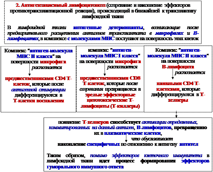 Гуморальные факторы, продуцируемые Т-клетками воспаления - student2.ru