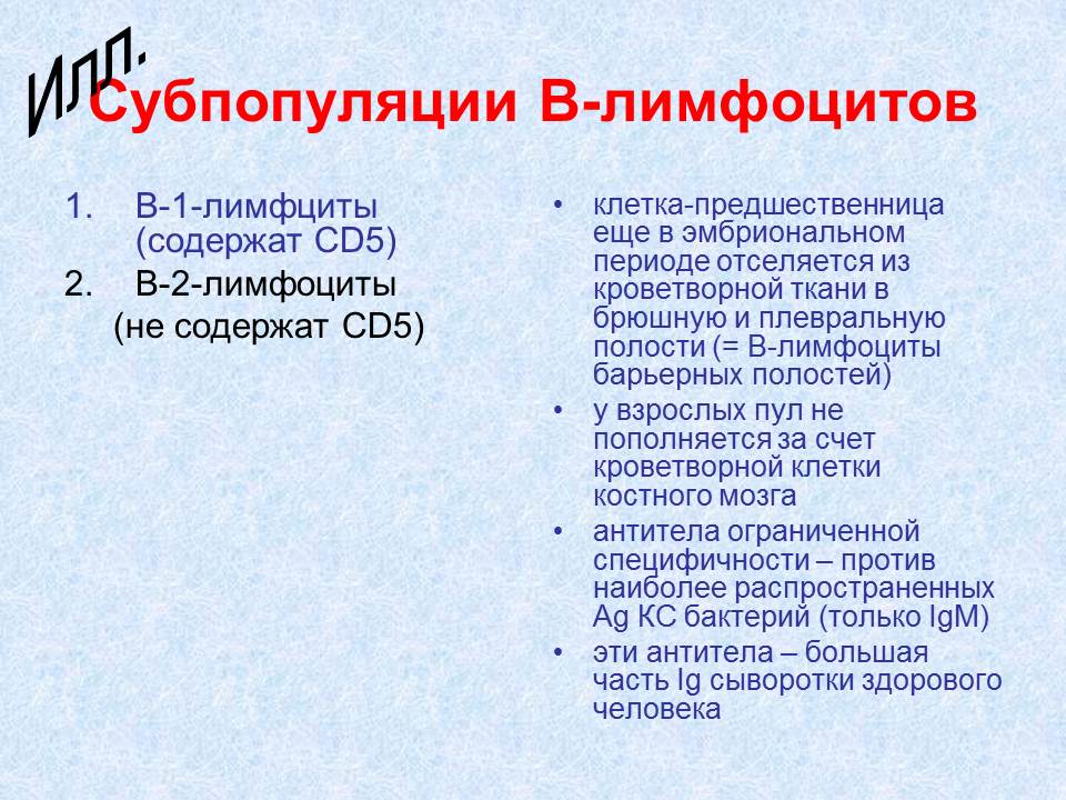 гуморальный иммунный ответ - student2.ru