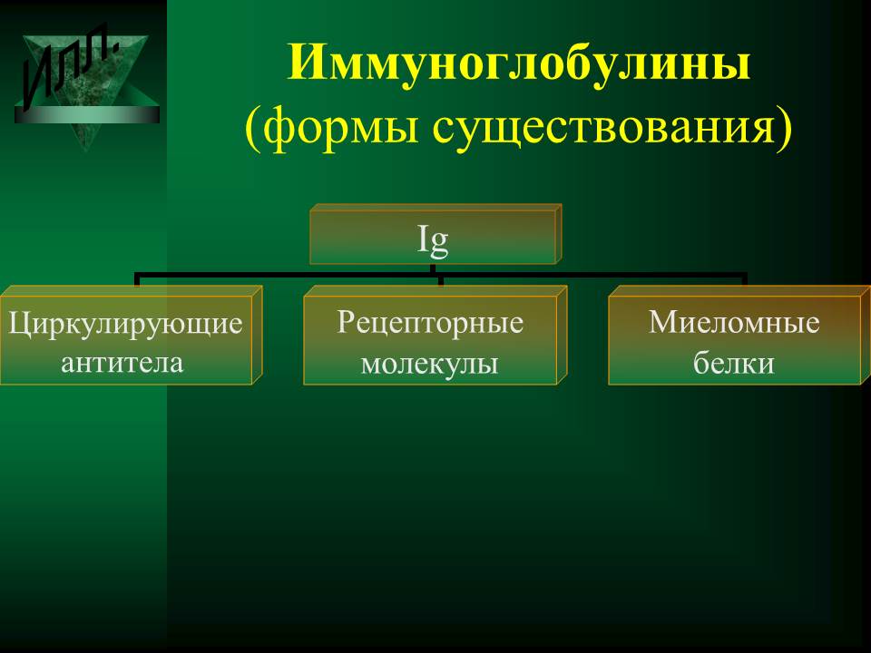 гуморальный иммунный ответ - student2.ru