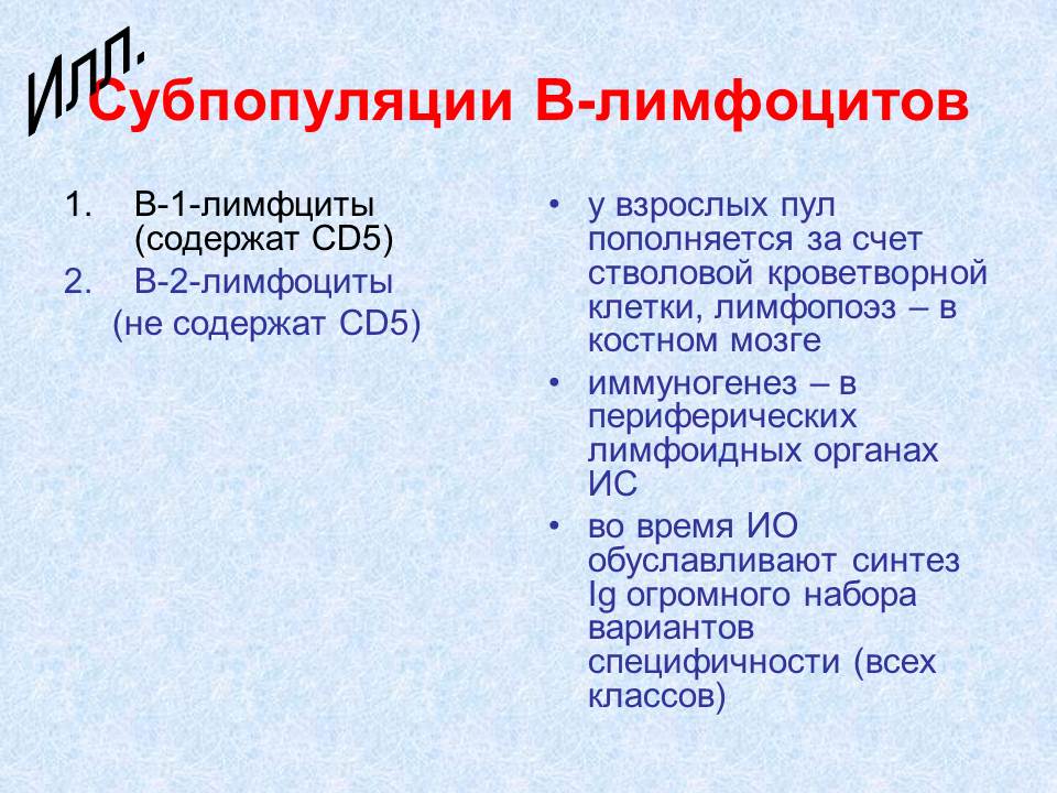 гуморальный иммунный ответ - student2.ru