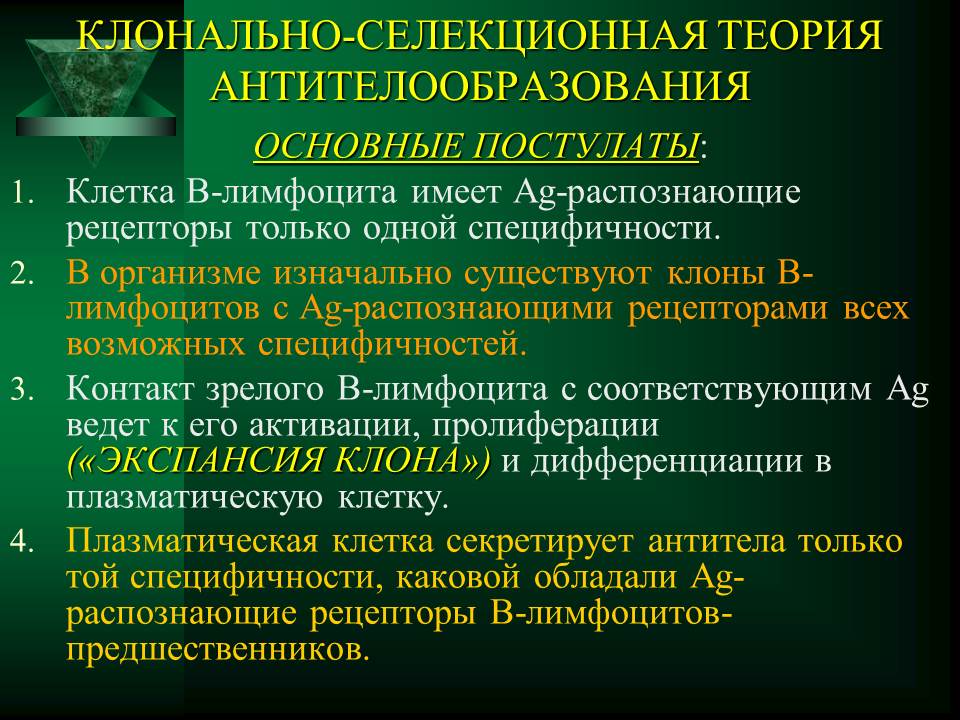 гуморальный иммунный ответ - student2.ru