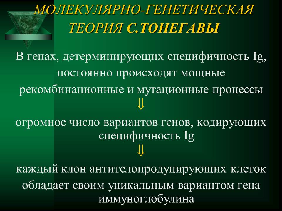 гуморальный иммунный ответ - student2.ru