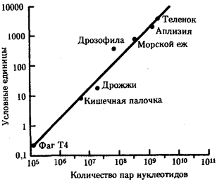 и информационное обеспечение - student2.ru