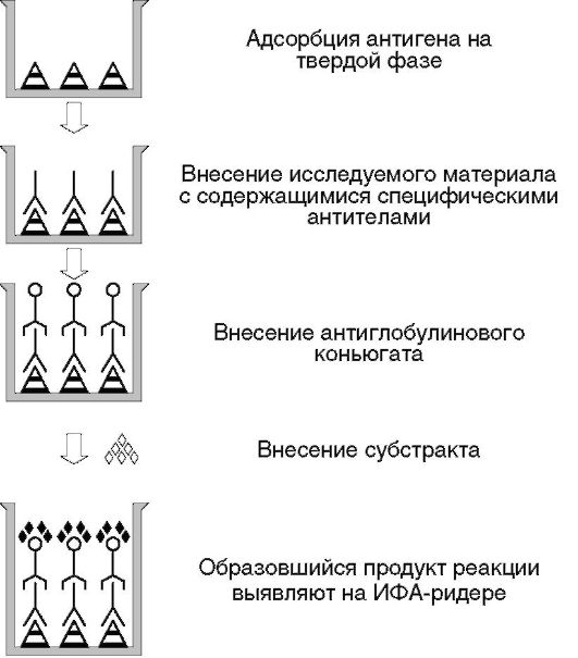 Ингибиторный иммуноферментный анализ - student2.ru