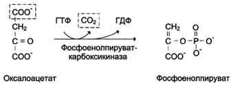 ингибиторы и разъединители транспорта электронов окислительного фосфорилирования - student2.ru