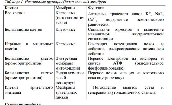 Ионные каналы-структурное образование биологических мембран - student2.ru