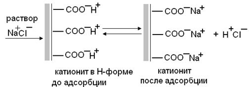 Ионообменная адсорбция - student2.ru