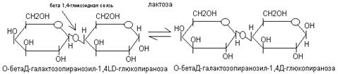 Итоговое занятие по теме: «Введение в обмен веществ. Биохимия питания, Биологическое окисление. Энергетический обмен» - student2.ru