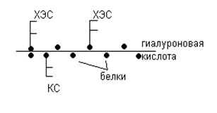 Итоговое занятие по теме: «Введение в обмен веществ. Биохимия питания, Биологическое окисление. Энергетический обмен» - student2.ru