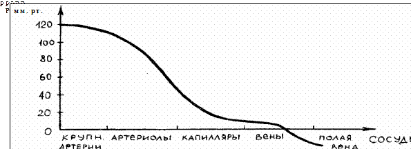 Из-за различия в межмолекулярном взаимодействии на поверхности и внутри жидкости образуется поверхностный слой - student2.ru